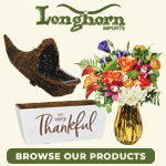 LONGHORN IMPORTS INC, Irving, Texas
